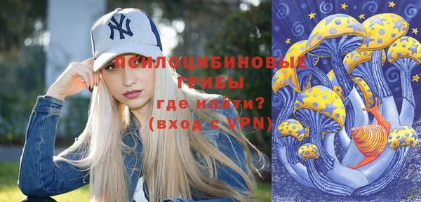 ГАЛЛЮЦИНОГЕННЫЕ ГРИБЫ Липки