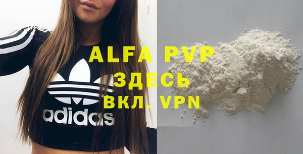 стаф Абинск