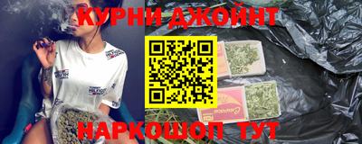 сатива Бийск