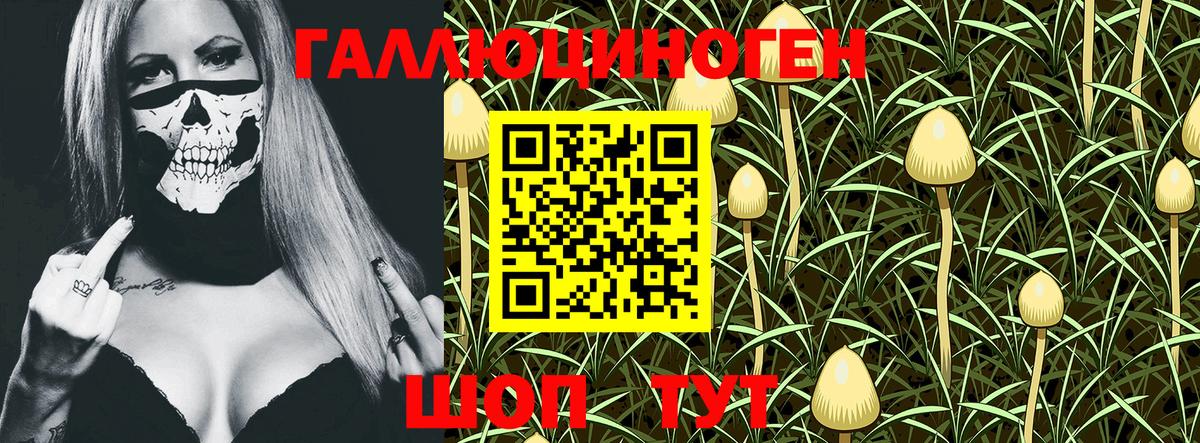 Псилоцибиновые грибы MAGIC MUSHROOMS  Сосновоборск  Псилоцибиновые грибы Psilocybine cubensis 