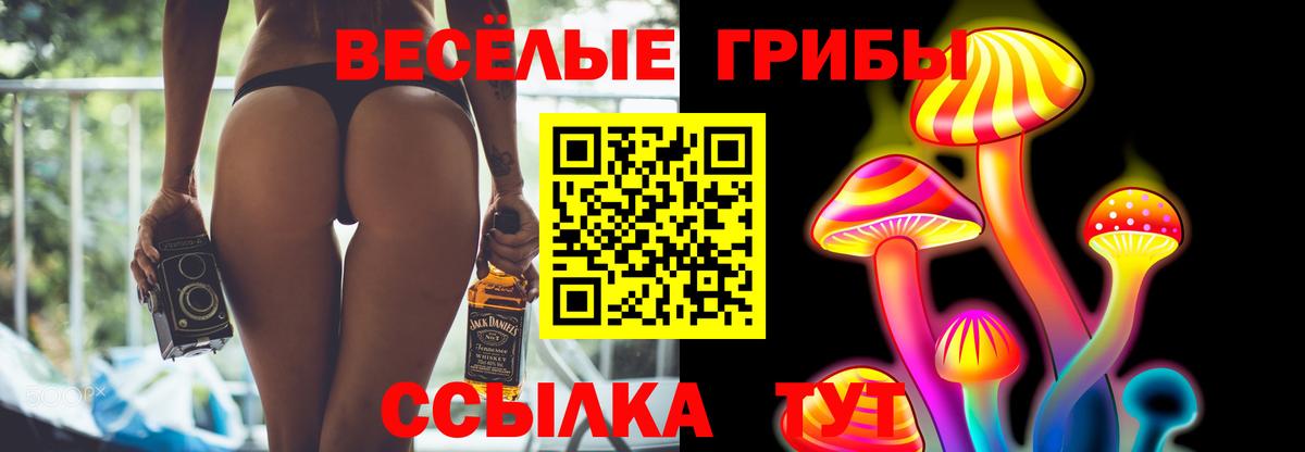 Псилоцибиновые грибы MAGIC MUSHROOMS  Псилоцибиновые грибы ЛСД  Сосновоборск  Вход с VPN 