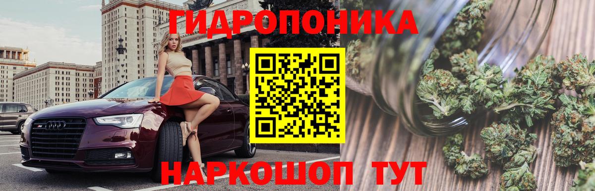 Каннабис ГИДРОПОН Сосновоборск